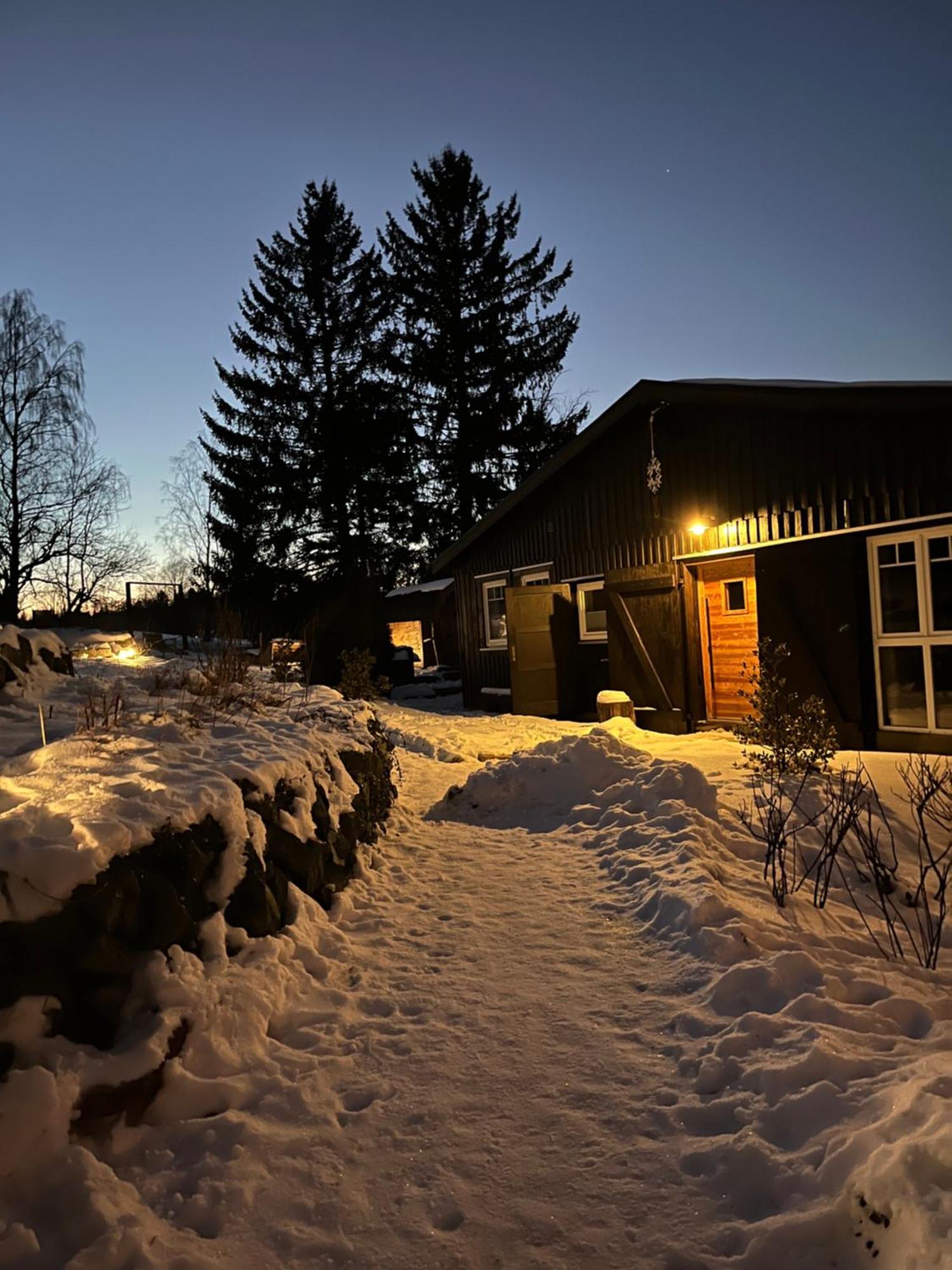 Berglage - Das Urlaubzuhause Braunlage Exterior foto